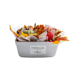 AUTOMNE Pumpkin cie bougie