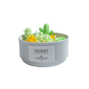 bougie cactus