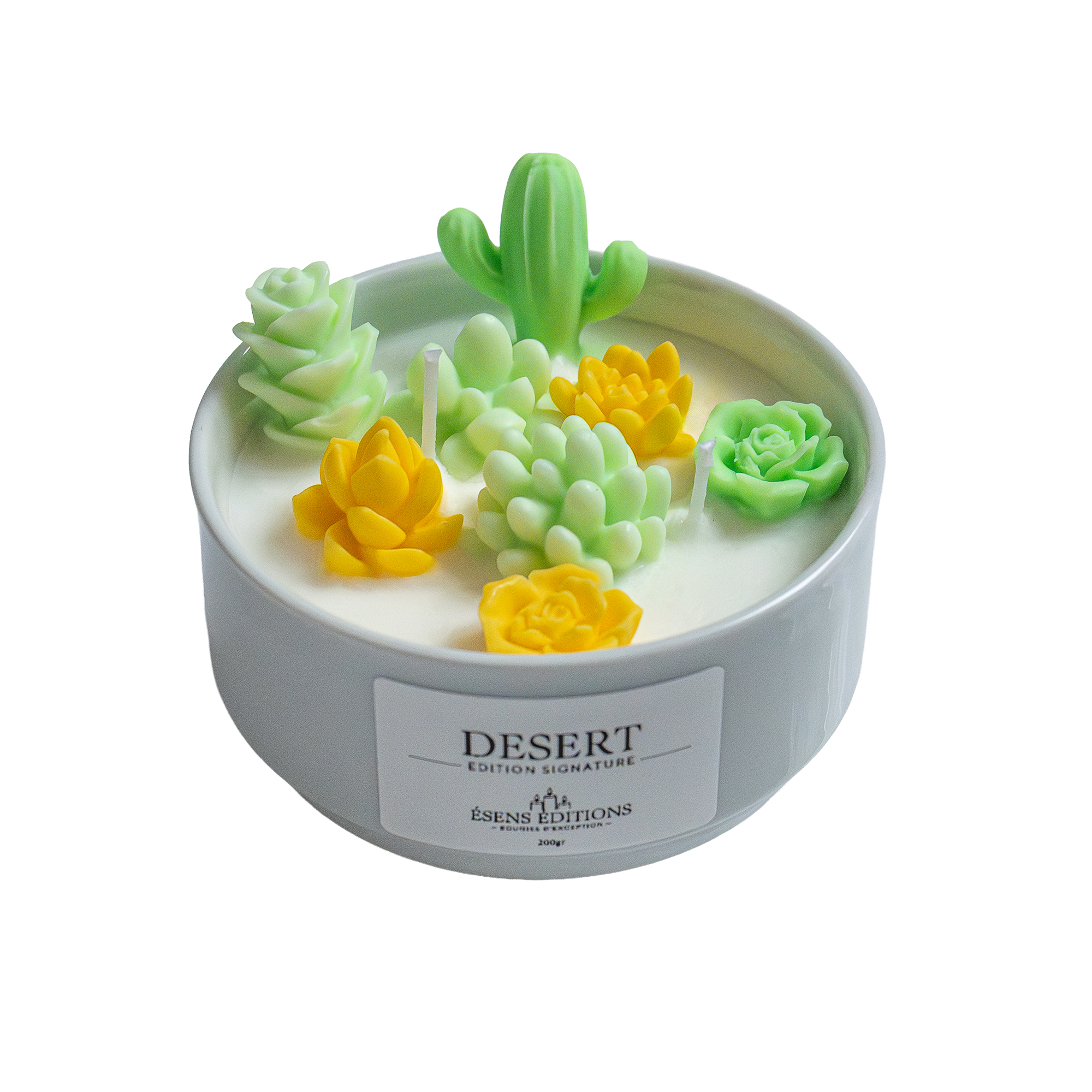bougie cactus