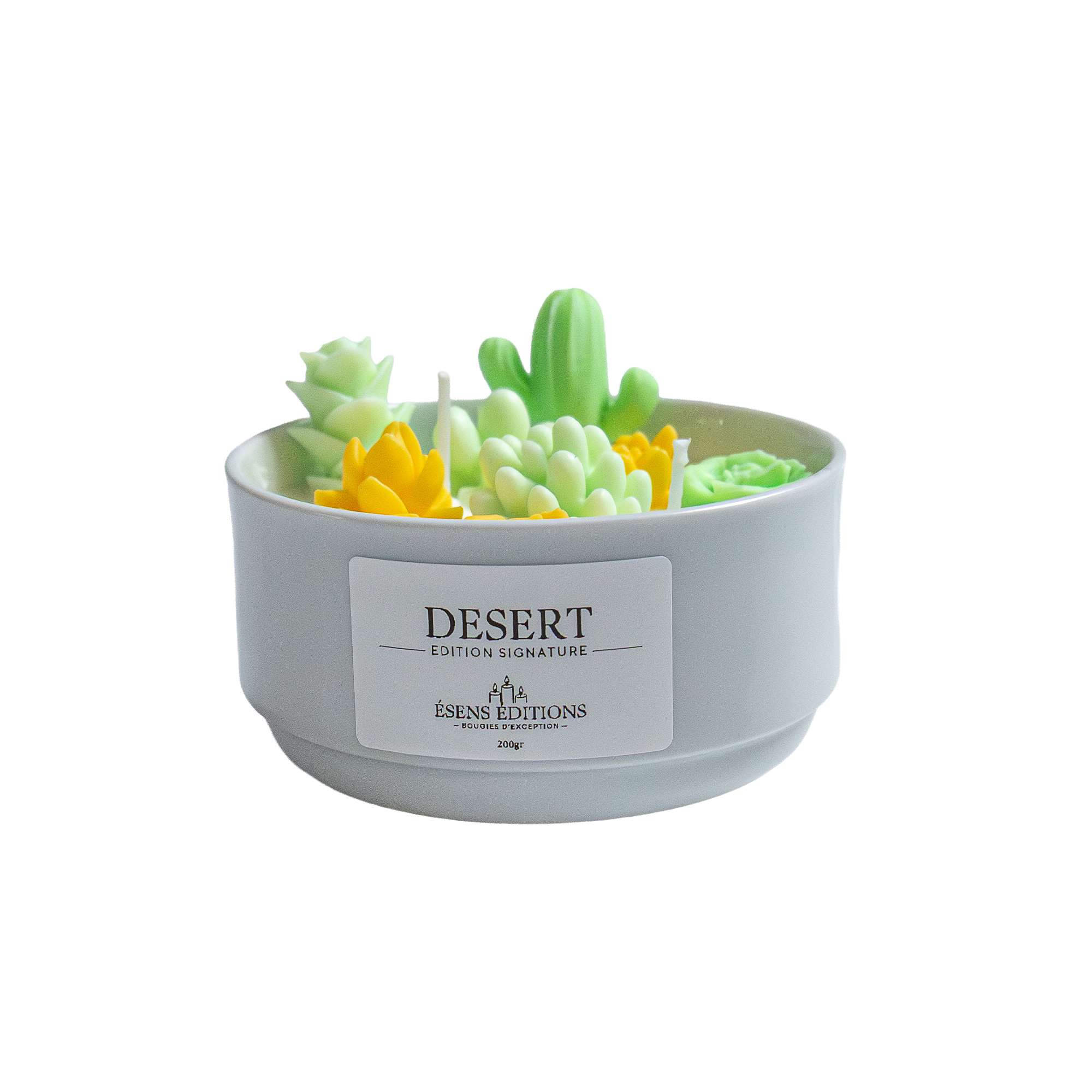 bougie cactus